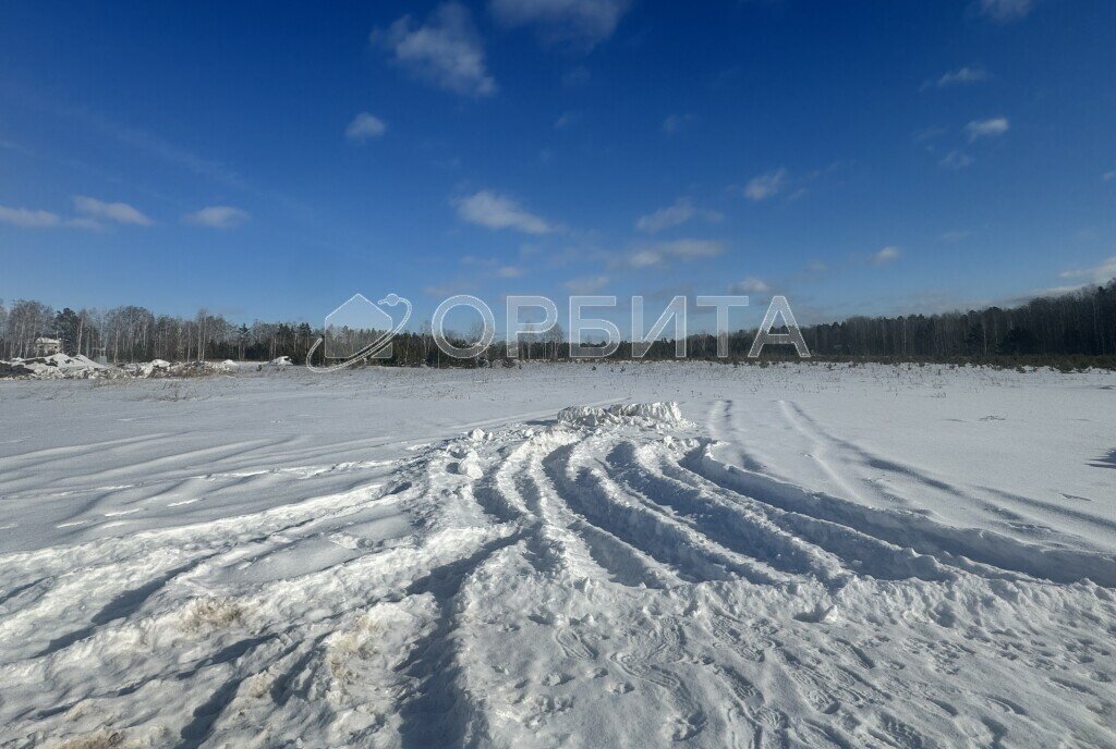 земля г Тюмень снт Зеленый бор ул Центральная Бор фото 2