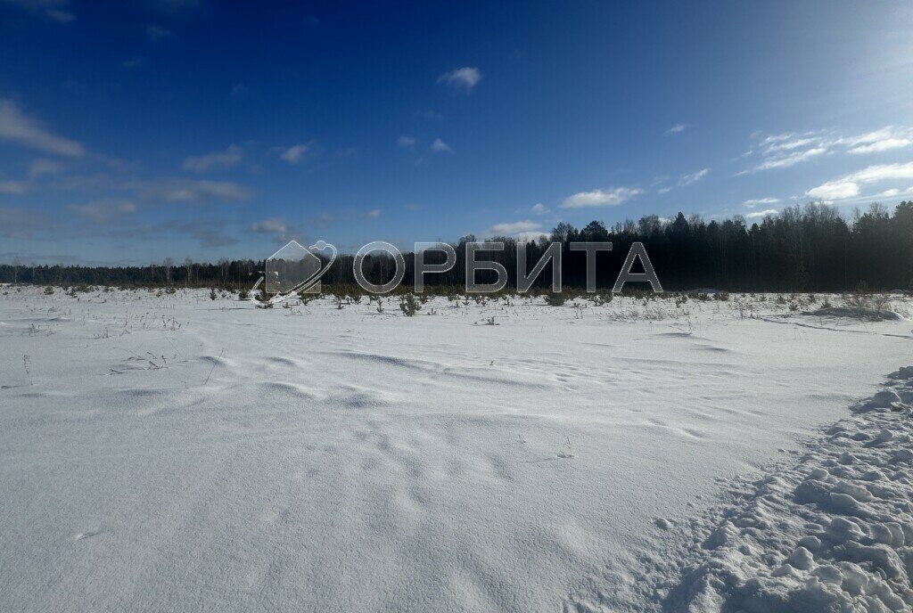 земля г Тюмень снт Зеленый бор ул Центральная Бор фото 3