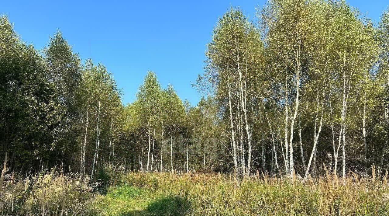 земля городской округ Серпухов д Лисенки фото 9