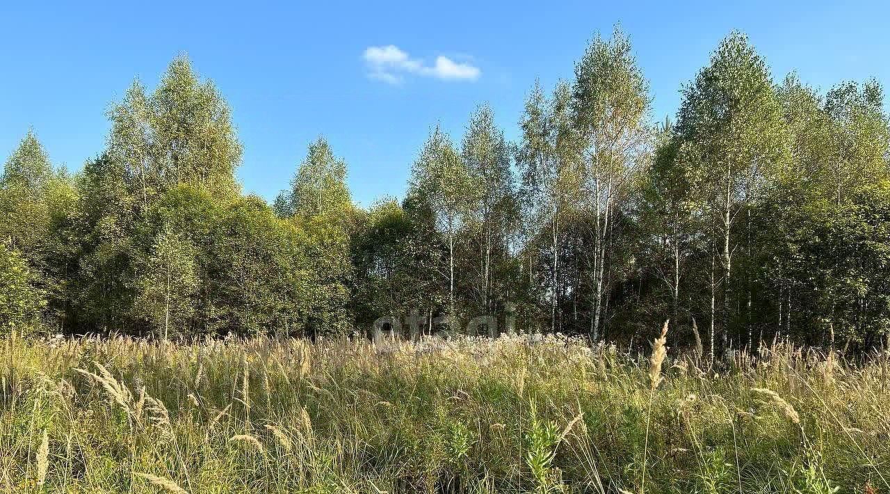 земля городской округ Серпухов д Лисенки фото 10