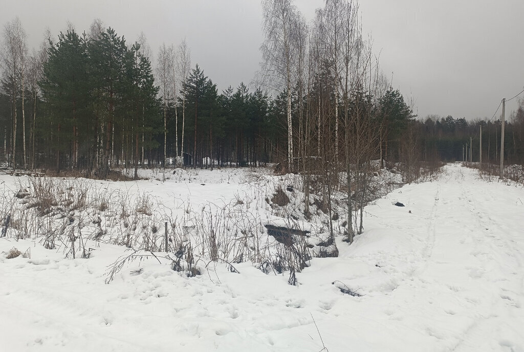 земля р-н Новгородский д Губарево ул Дальняя Савинское сельское поселение фото 1