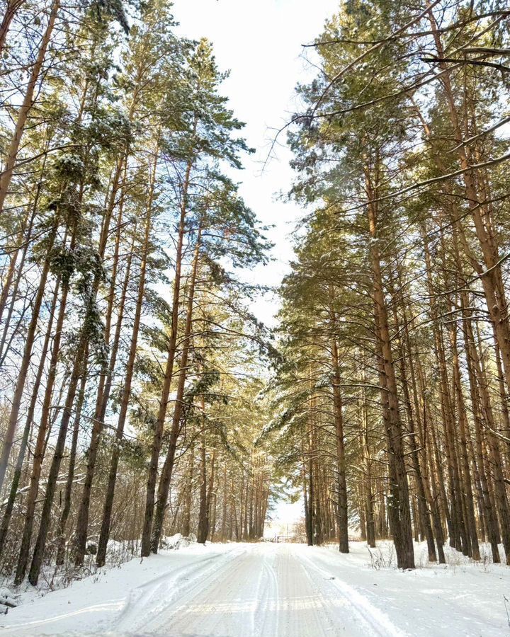 земля г Ульяновск р-н Ленинский снт Залив-2 фото 1