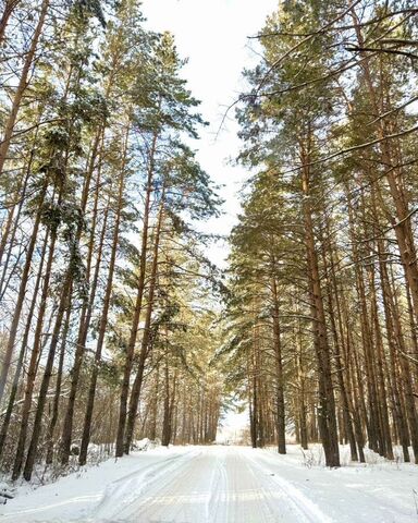 г Ульяновск р-н Ленинский снт Залив-2 фото