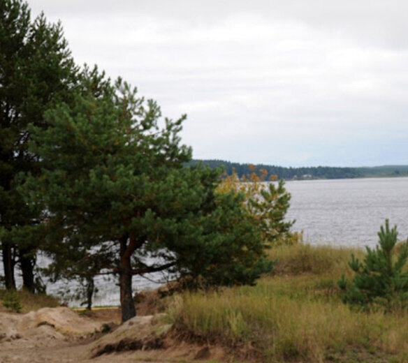 дом р-н Питкярантский д острова Лункулансаари фото 1