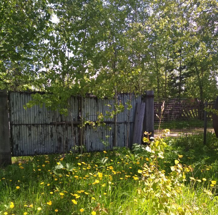 дом р-н Емельяновский п Каменный Яр Мининский сельсовет фото 2