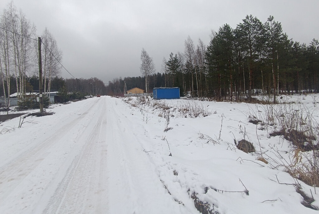 земля р-н Новгородский д Губарево ул Дальняя Савинское сельское поселение фото 2