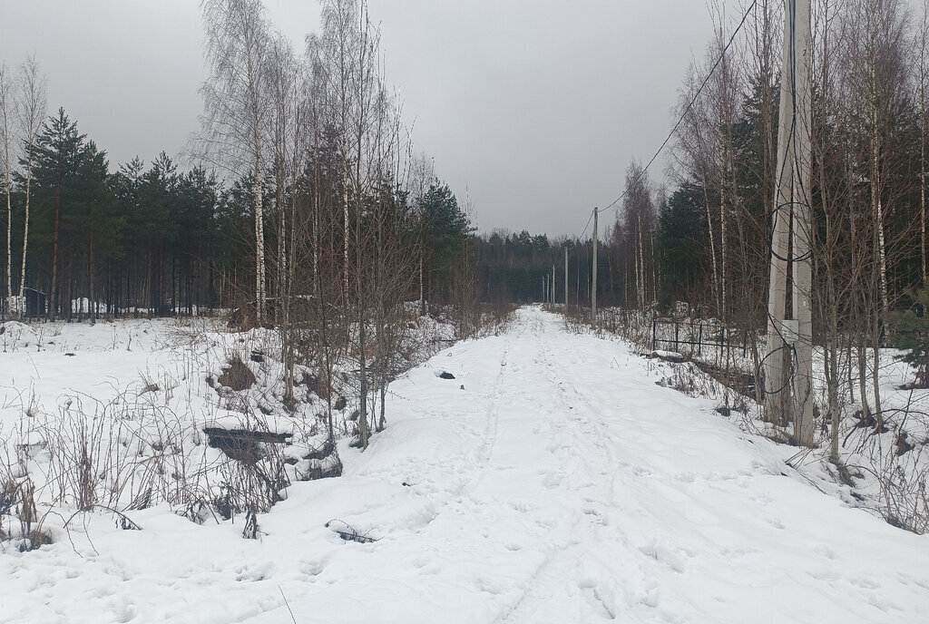 земля р-н Новгородский д Губарево ул Дальняя Савинское сельское поселение фото 4