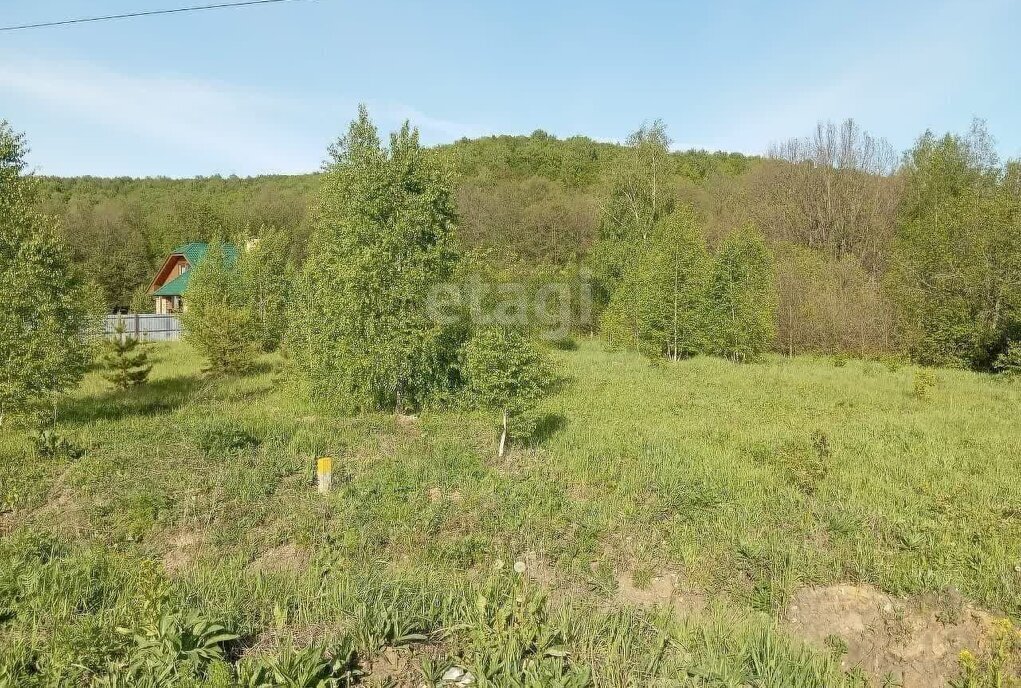 земля р-н Кочкуровский с Мурань фото 2