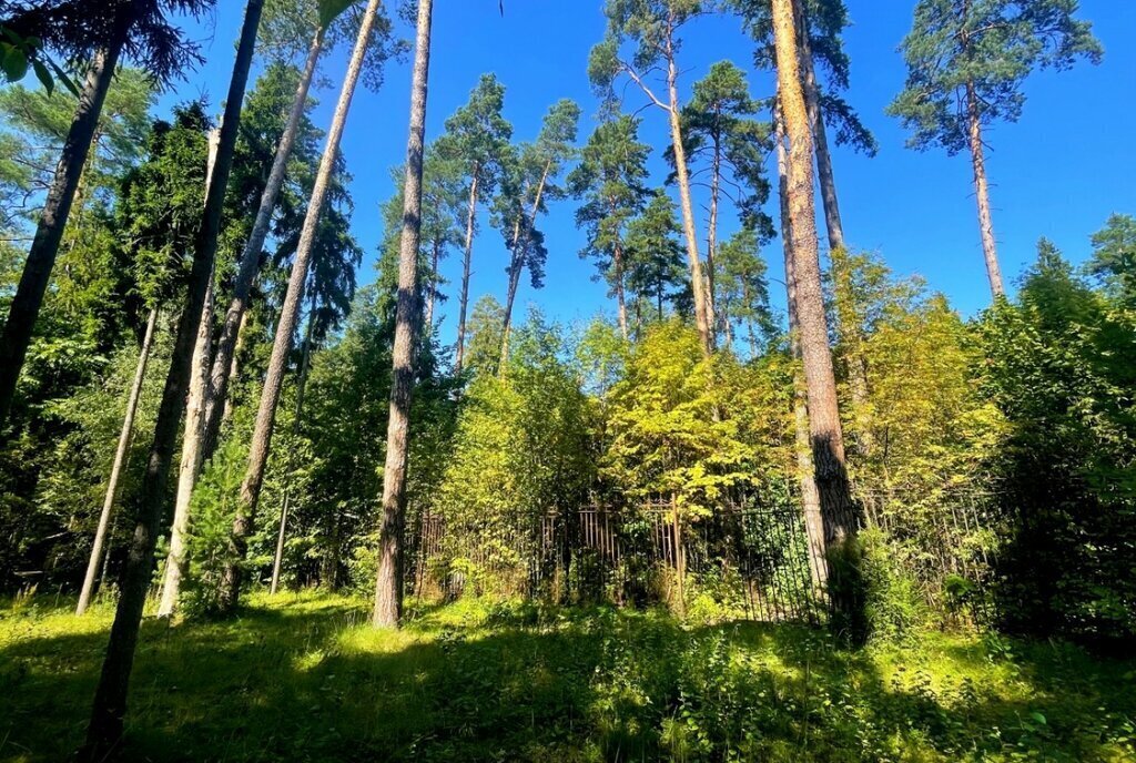 земля городской округ Одинцовский п Николина Гора Одинцово, коттеджный посёлок Никологорское фото 2