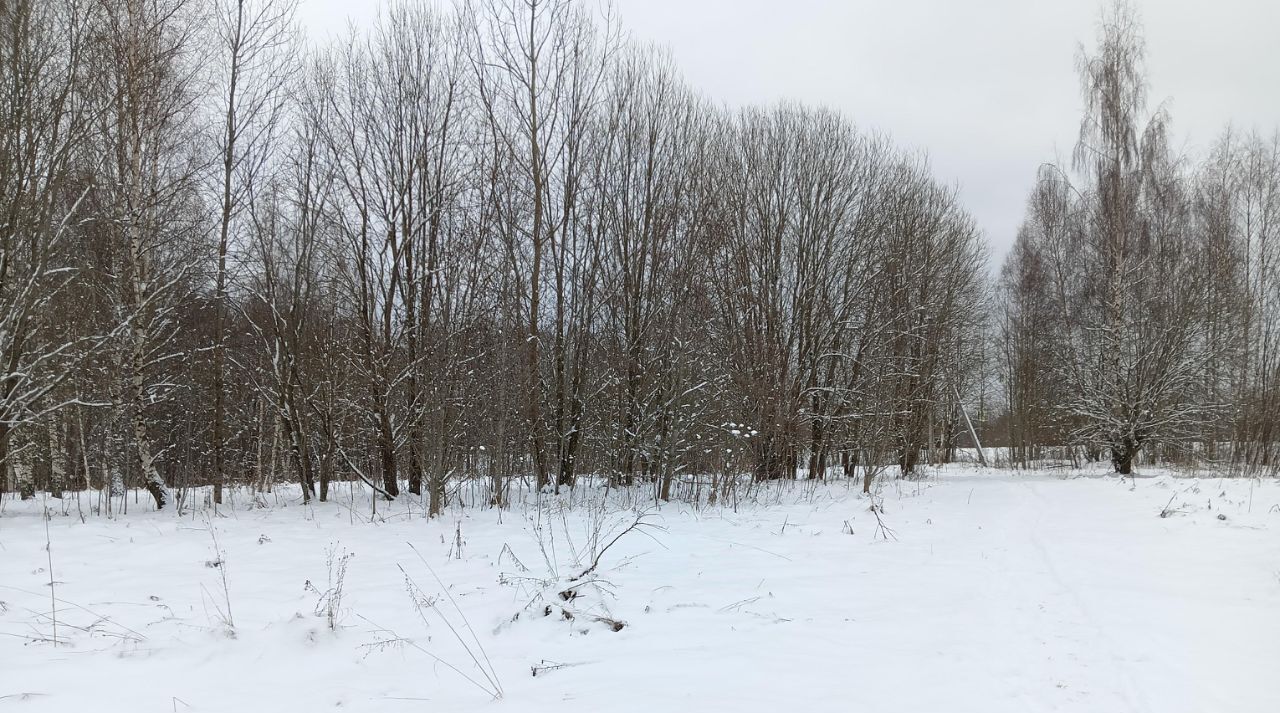 офис городской округ Клин д Борихино фото 1