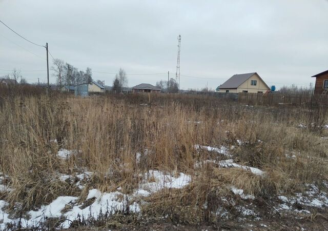 земля р-н Юрьев-Польский муниципальное образование Юрьев-Польский, Рябиновая ул фото