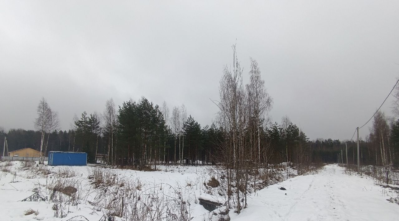 земля р-н Новгородский д Губарево ул Дальняя Савинское с/пос фото 3