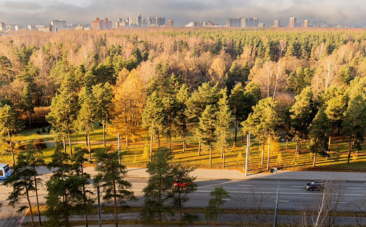 квартира г Санкт-Петербург метро Политехническая пр-кт Светлановский 45 округ Светлановское фото 4