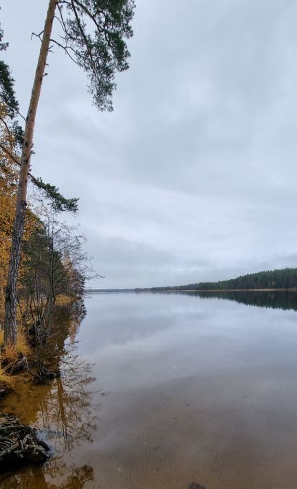 земля г Сосновый Бор Медик кп, 9 фото 9