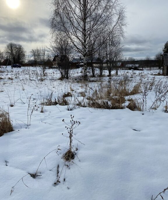 земля р-н Кирилловский д Звоз фото 3