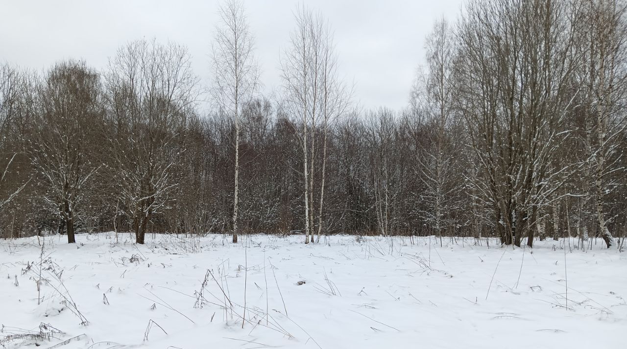 земля городской округ Клин д Борихино фото 1