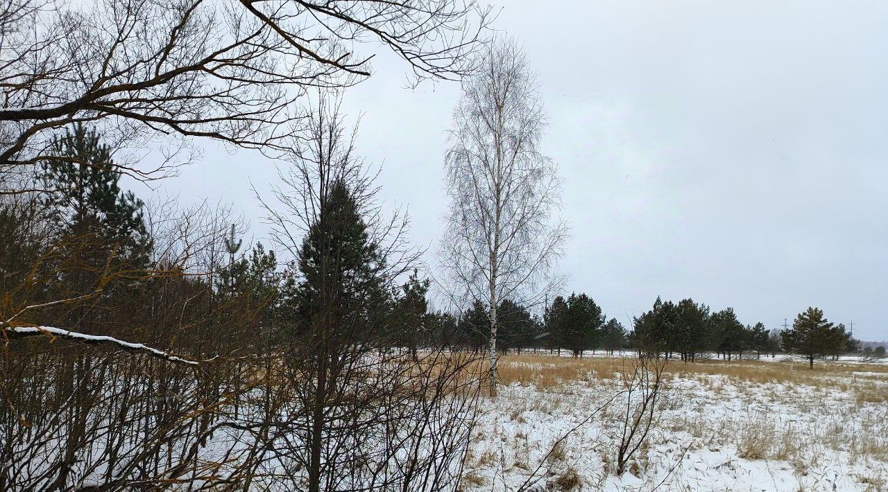 земля городской округ Раменский д Сидорово фото 1