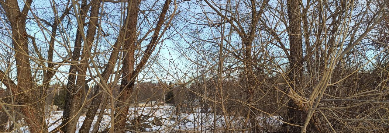 земля городской округ Талдомский д Наговицино фото 2