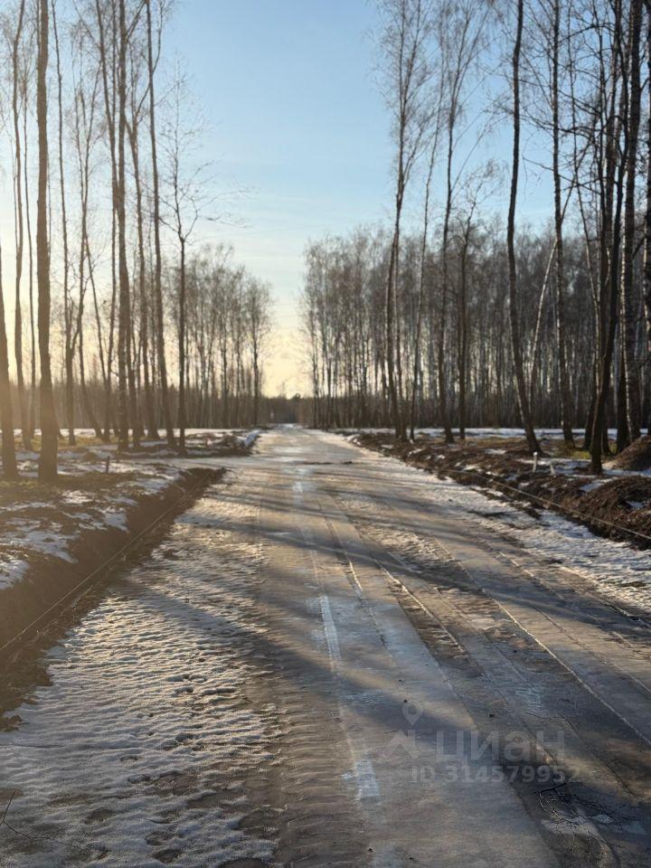 земля городской округ Серпухов д Родионовка фото 12