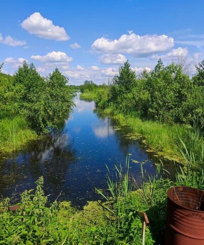 снт Калинкино муниципальное образование Филипповское фото