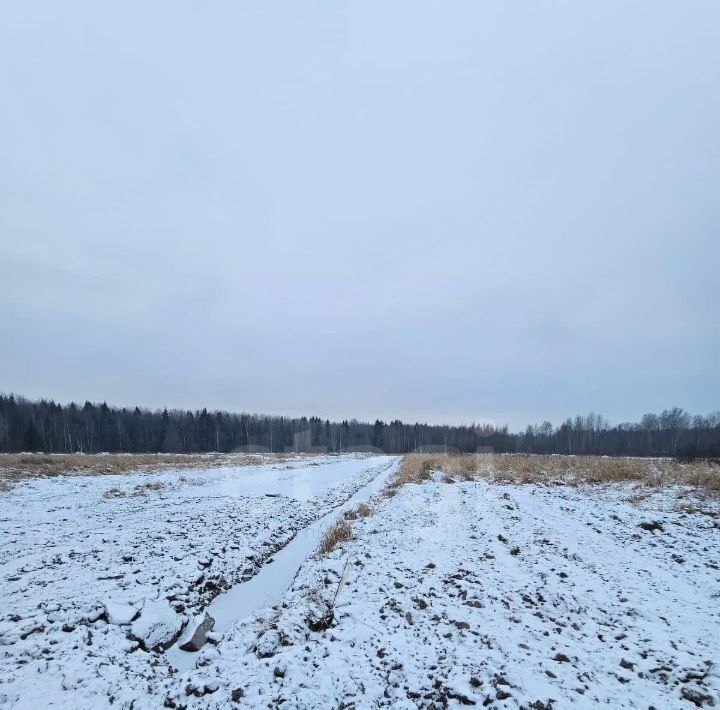 земля р-н Всеволожский Заневское городское поселение, Терра Парк кп, Улица Дыбенко фото 1