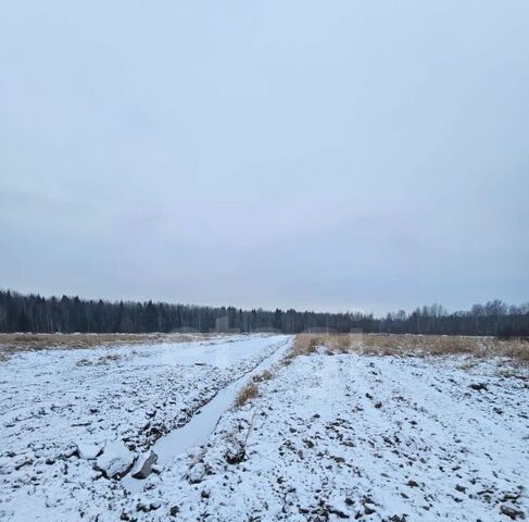 земля Заневское городское поселение, Терра Парк кп, Улица Дыбенко фото