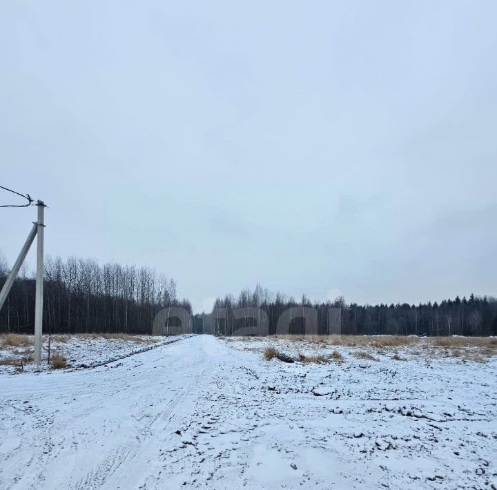 земля р-н Всеволожский Заневское городское поселение, Терра Парк кп, Улица Дыбенко фото 4