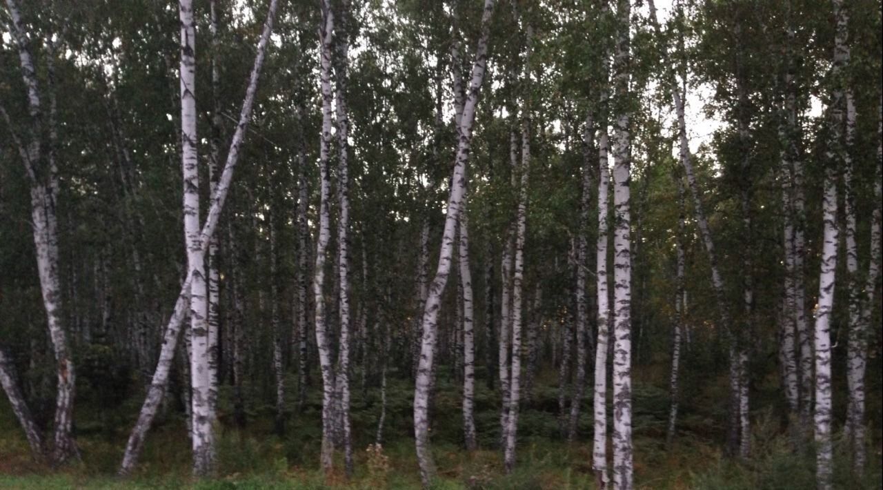 земля р-н Смоленский п Усть-Катунь сельсовет, Верх-Обский фото 1