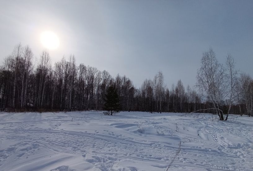 земля р-н Сосновский Кременкульское сельское поселение, территория жилая застройка СИЖ, Челябинск фото 2