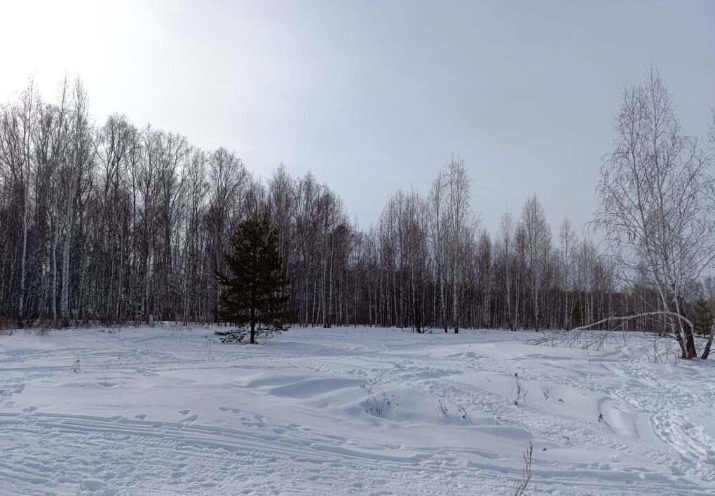 земля р-н Сосновский Кременкульское сельское поселение, территория жилая застройка СИЖ, Челябинск фото 3