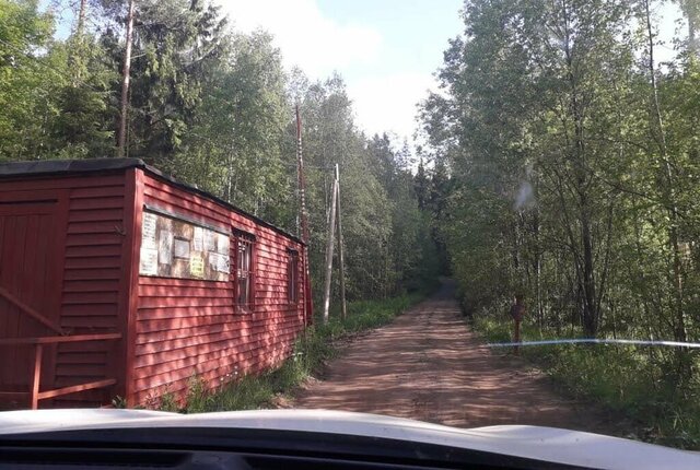 Раздольевское сельское поселение, коттеджный посёлок Центральное Раздолье - 2 фото