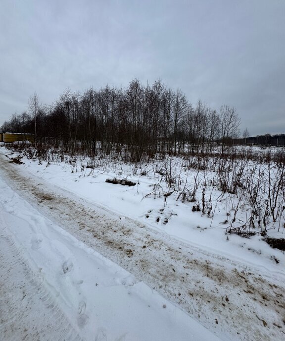 земля Колтушское городское поселение, Улица Дыбенко, Колтушская возвышенность фото 6