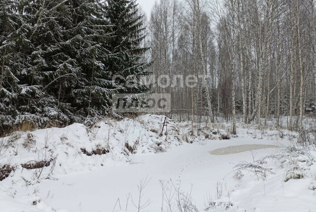 Рябовское городское поселение, садоводческий массив Рябово-Хутора, садоводческое некоммерческое товарищество Русь, 77 фото