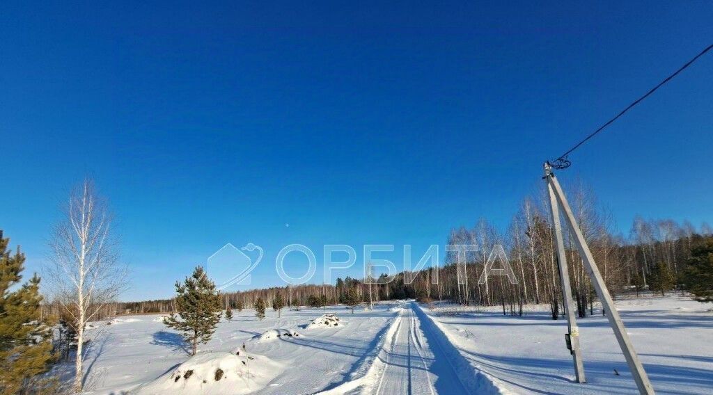 земля р-н Нижнетавдинский снт Березка фото 6