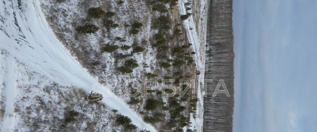 земля р-н Тюменский д Малиновка Вольные угодья кп фото 11