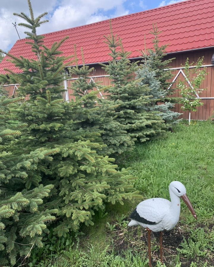 дом г Санкт-Петербург тер Сергиево 7 км, Виллозское городское поселение, садоводческое некоммерческое товарищество Орбита-3, Дачная ул., 488, Ленинградская обл., Ломоносовский р-н, Волхонское шоссе фото 14