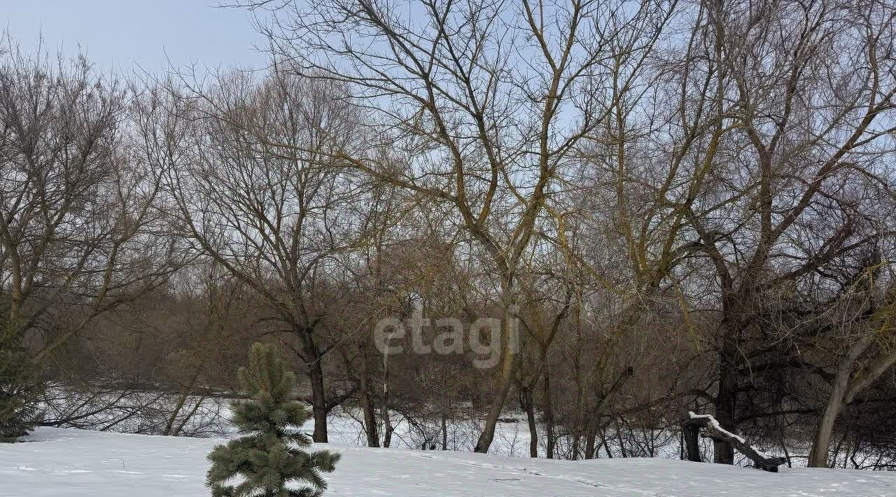 земля р-н Курский д Толмачево Лебяженский сельсовет фото 2