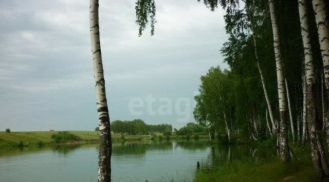 земля р-н Богородский д Килелей Буревестник фото 3