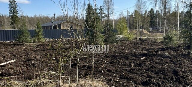 13 км, Всеволожский р-н, Сертоловское городское поселение, садоводческое некоммерческое товарищество Заречное, Аллейная ул., 170, Александровское шоссе фото