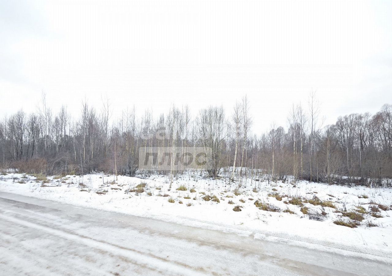 земля р-н Новгородский Ракомское сельское поселение, Великий Новгород фото 2