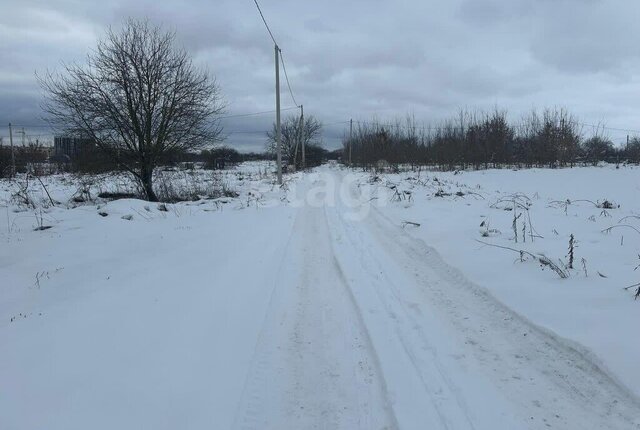 территория садоводческого общества Снежка фото