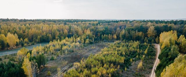 д Орел ул Новая Орловское с/пос фото