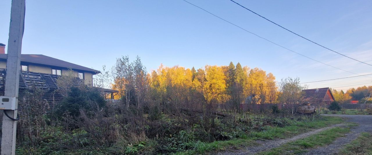 земля городской округ Пушкинский д Бортнево снт Бортнево-1 ул. Центральная, 66 фото 8