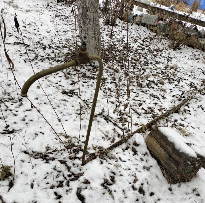 дом г Дубна снт Волга Павлово-Посадский городской округ, Электрогорск фото 5