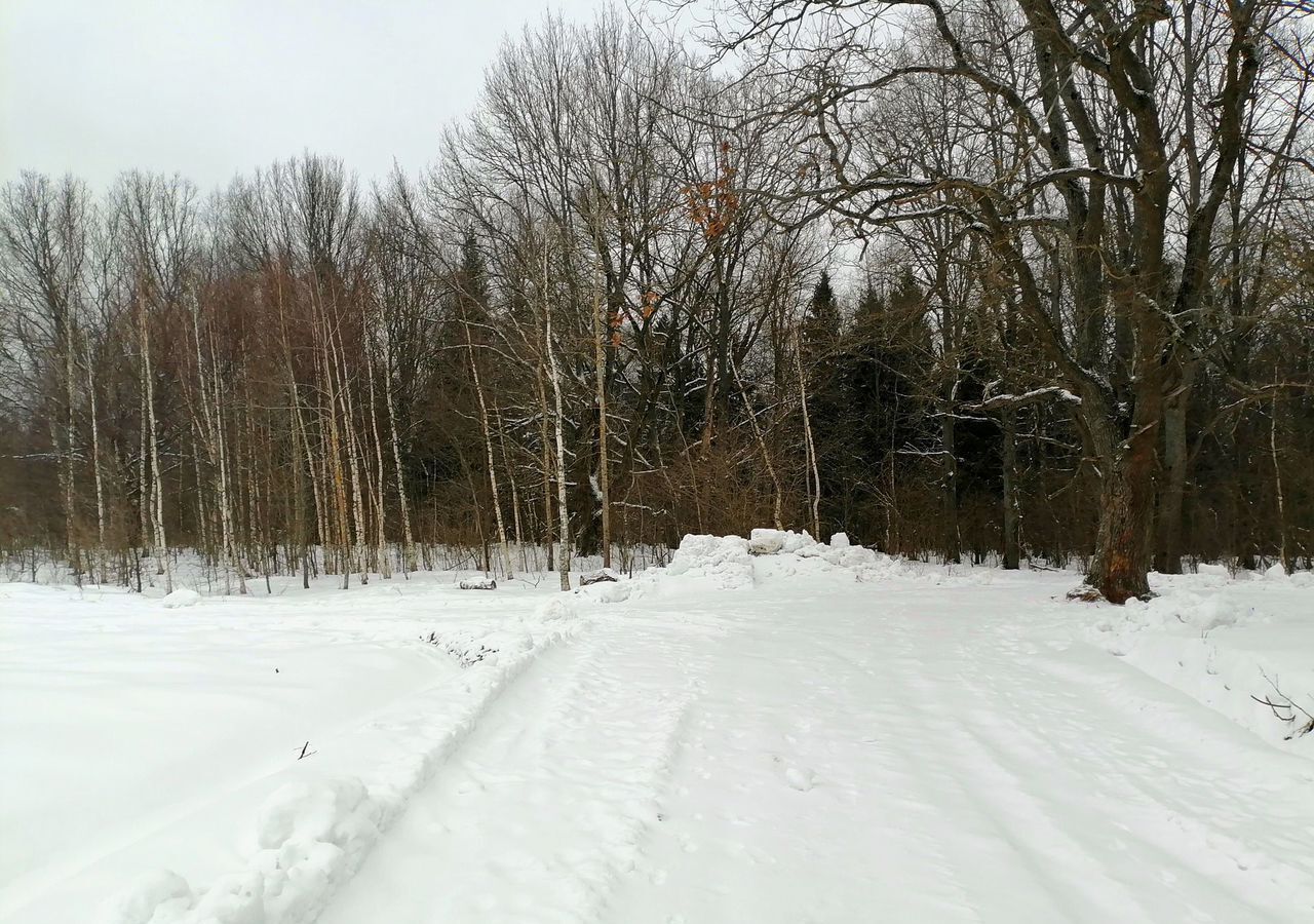 земля городской округ Пушкинский 37 км, 48, Ашукино, Ярославское шоссе, д. Василёво фото 2