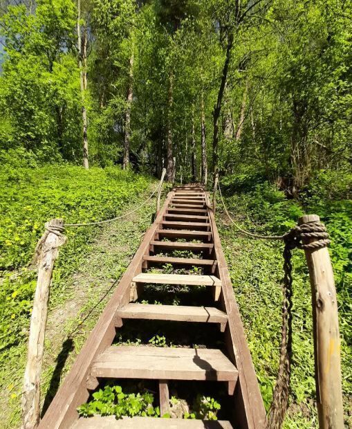 земля городской округ Ступино д Ольгино ул Михневская 53 км, Михнево, Новокаширское шоссе фото 5