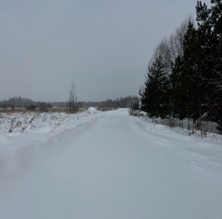 земля городской округ Талдомский д Мякишево фото 2