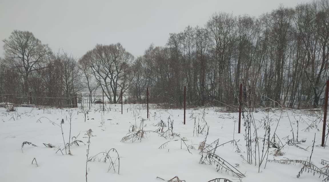 земля городской округ Клин д Бирево фото 2