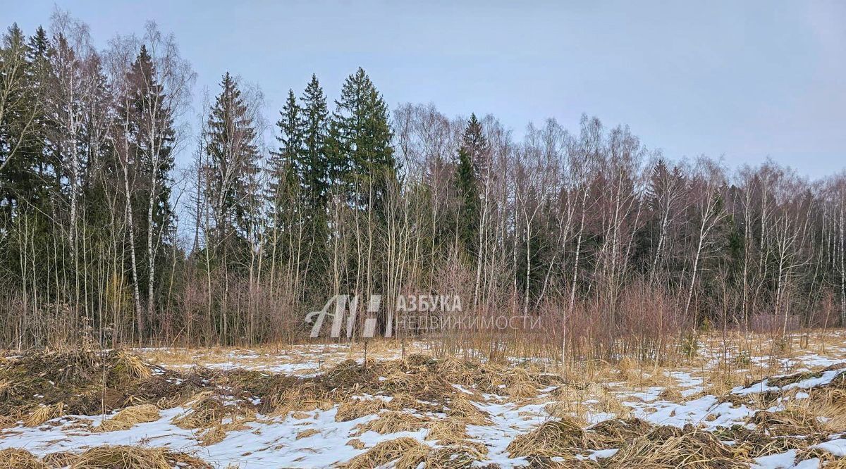 земля городской округ Рузский Полевая тер. фото 5