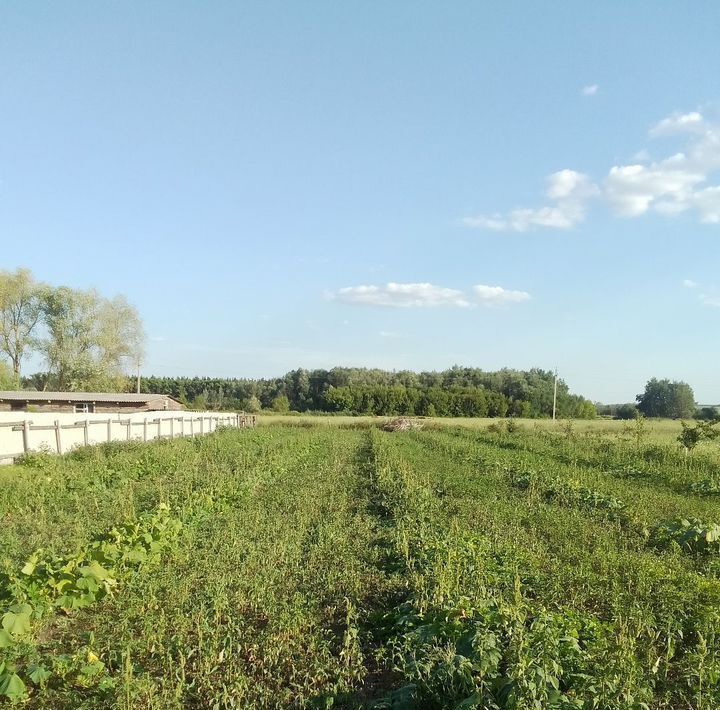 земля р-н Богучарский г Богучар пер Дорожный городское поселение Богучар фото 3